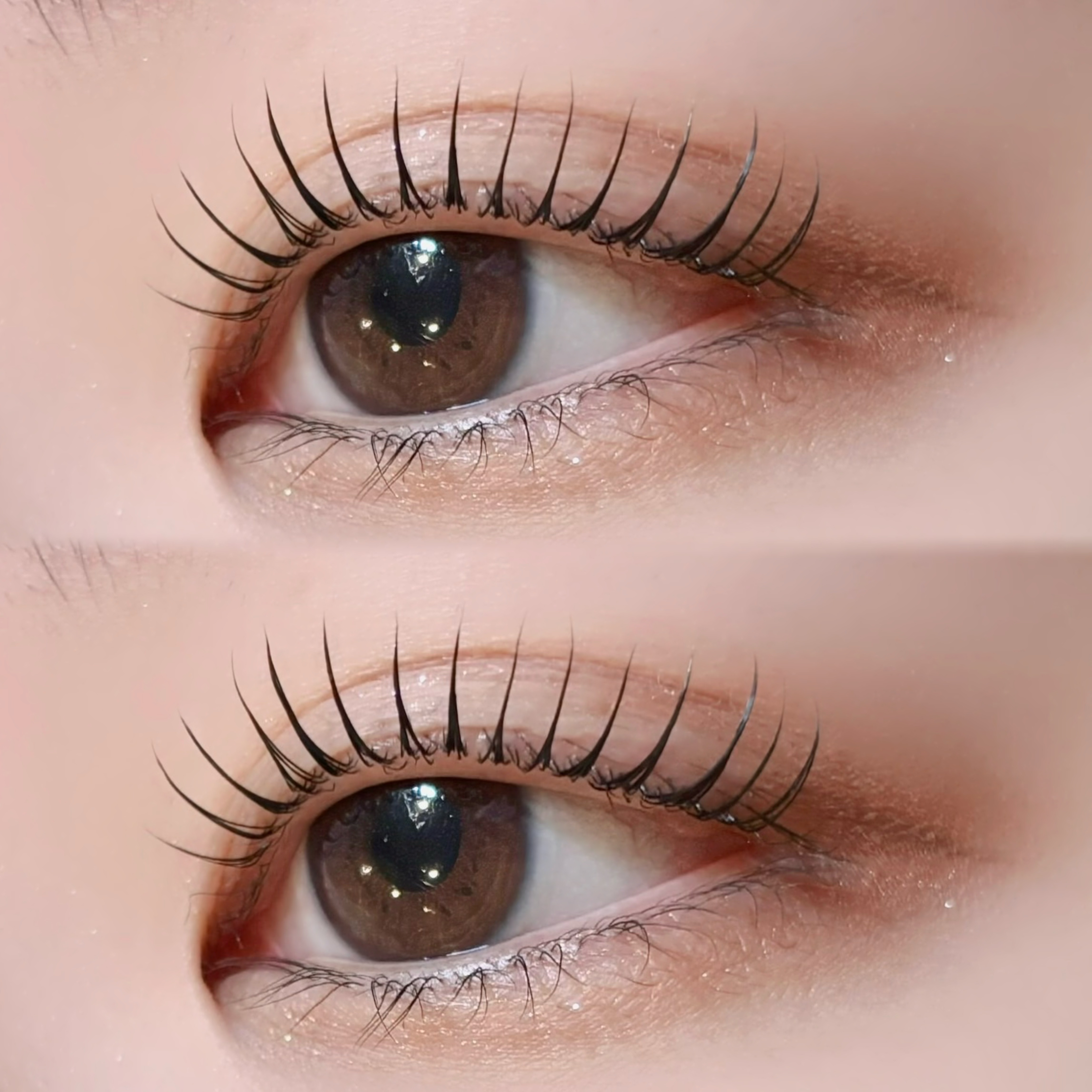 BUCKS_eye