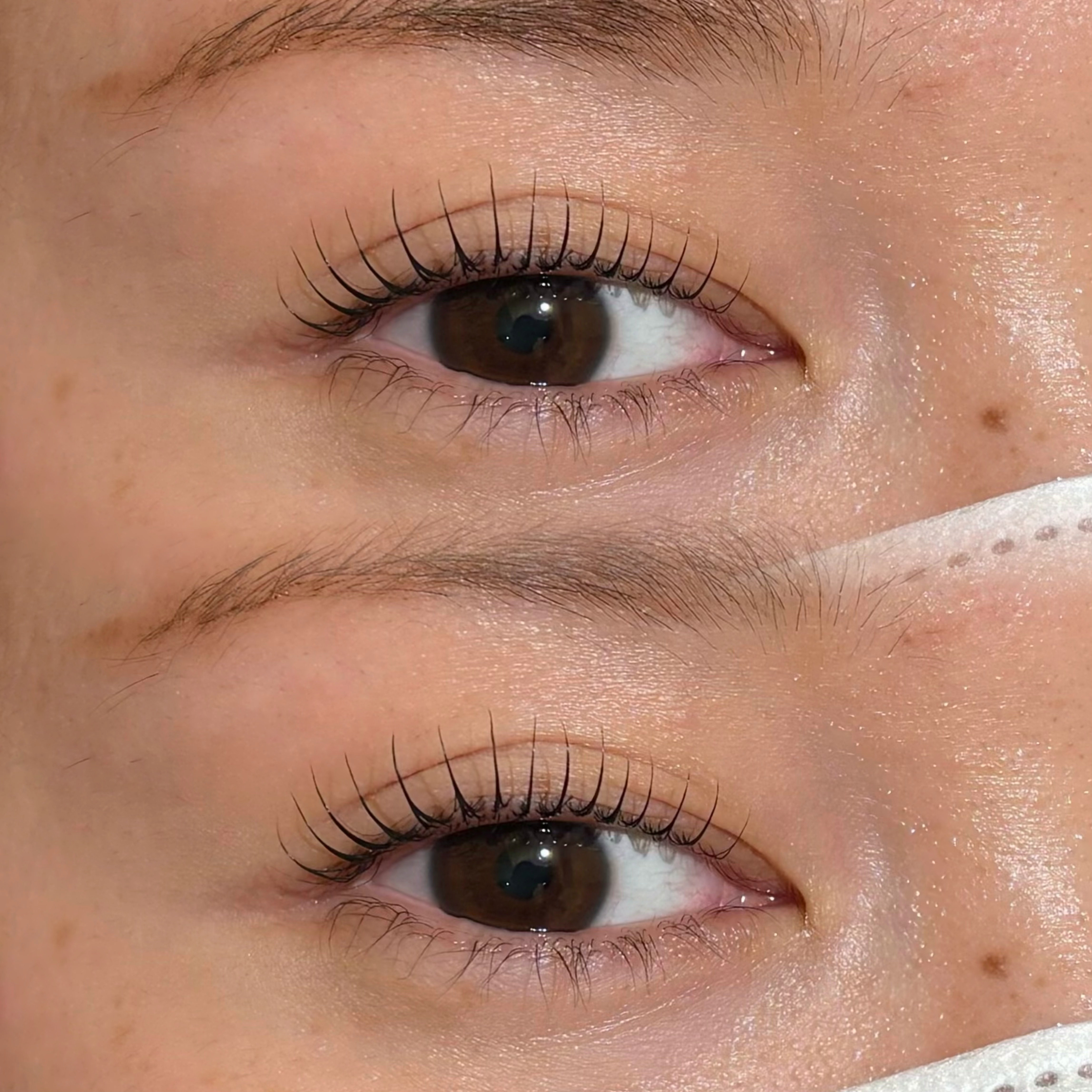 eyelash.suzuna