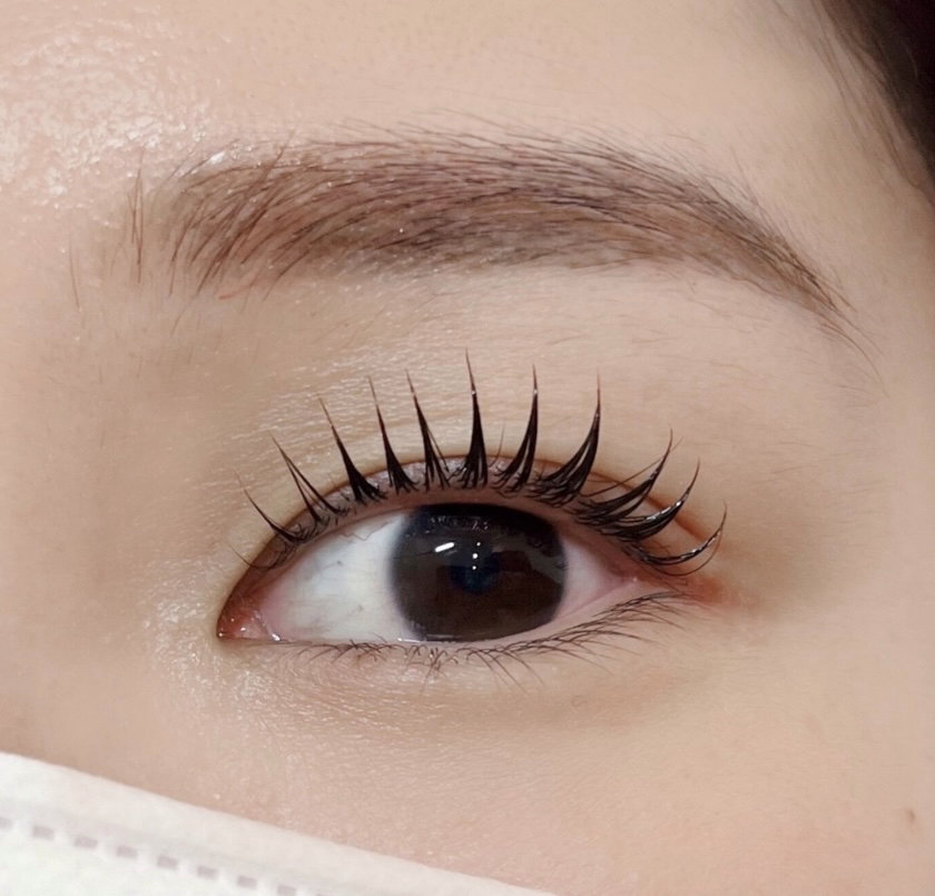 mona.eyelash