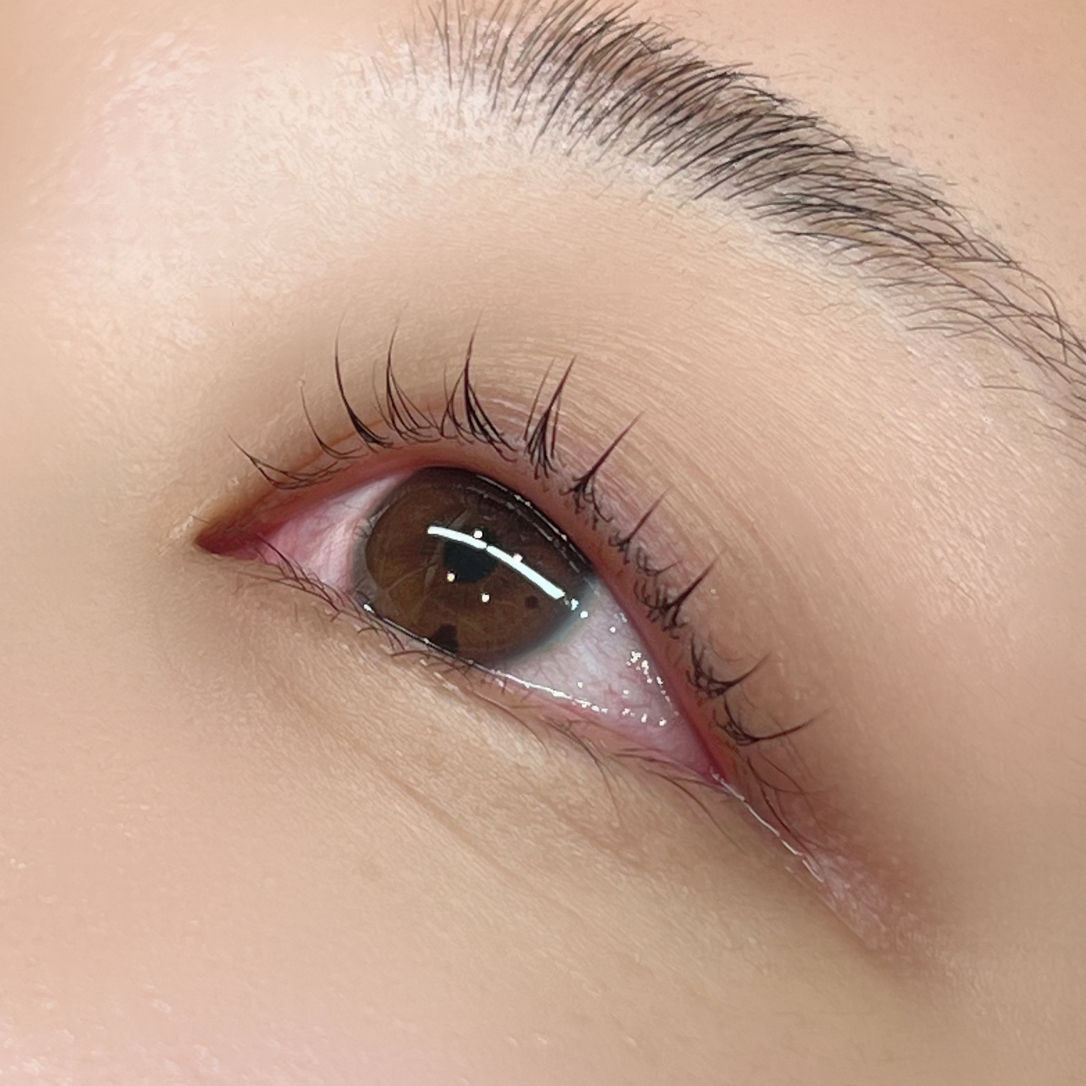 ayako_eyelash