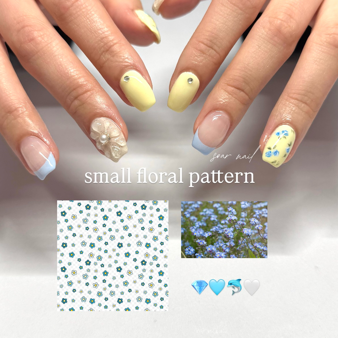 soarnail