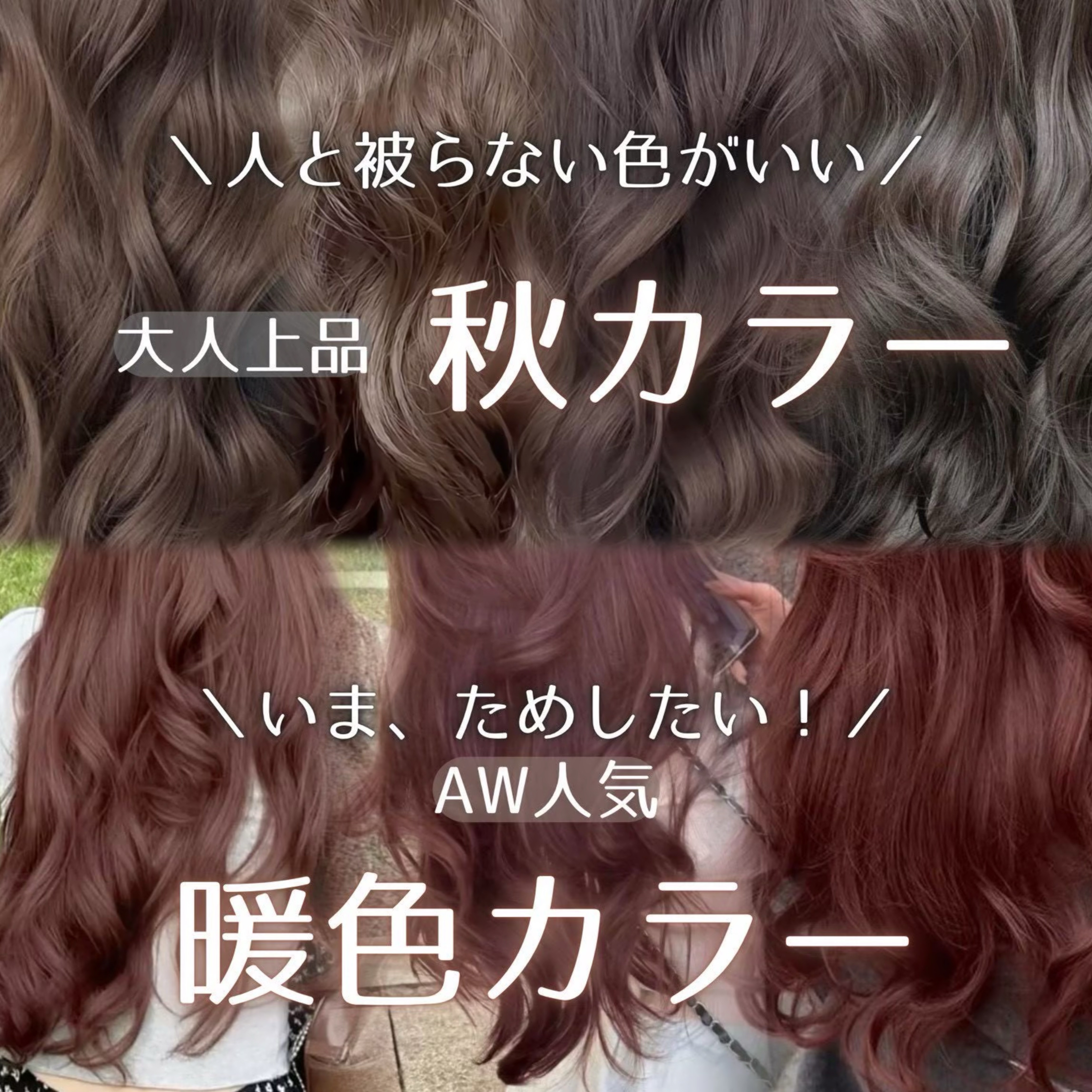 lond_.sakura