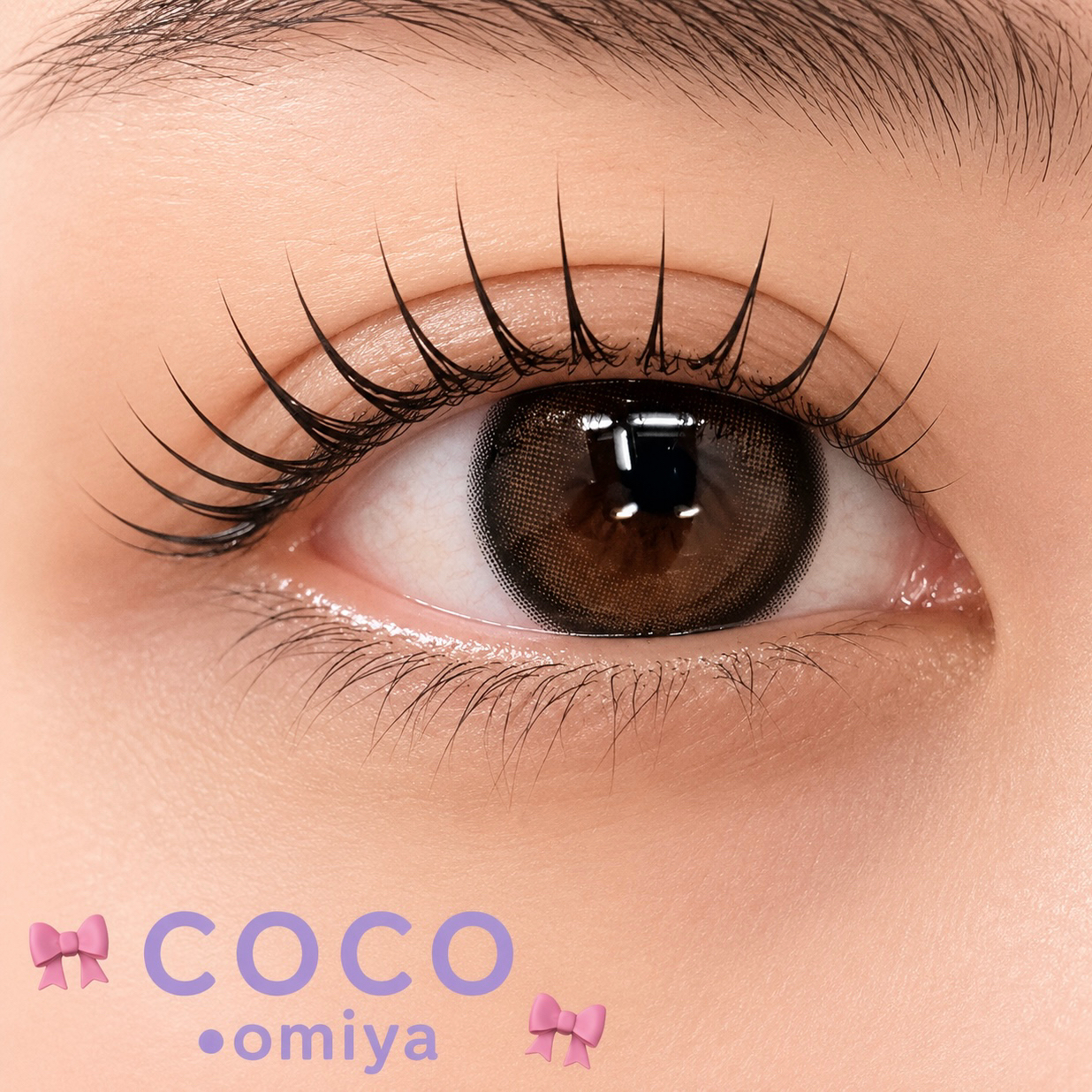 coco_shizuku
