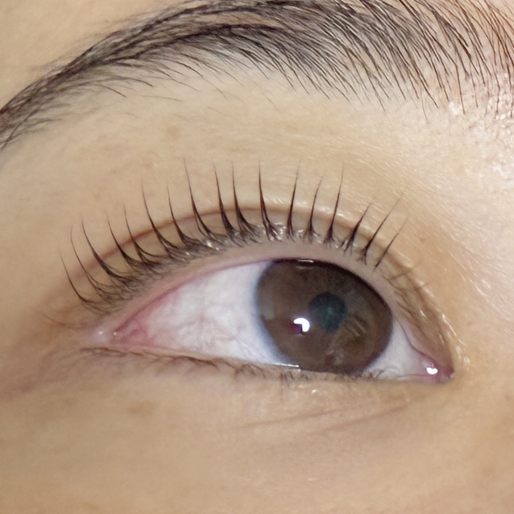 noel_eyelash