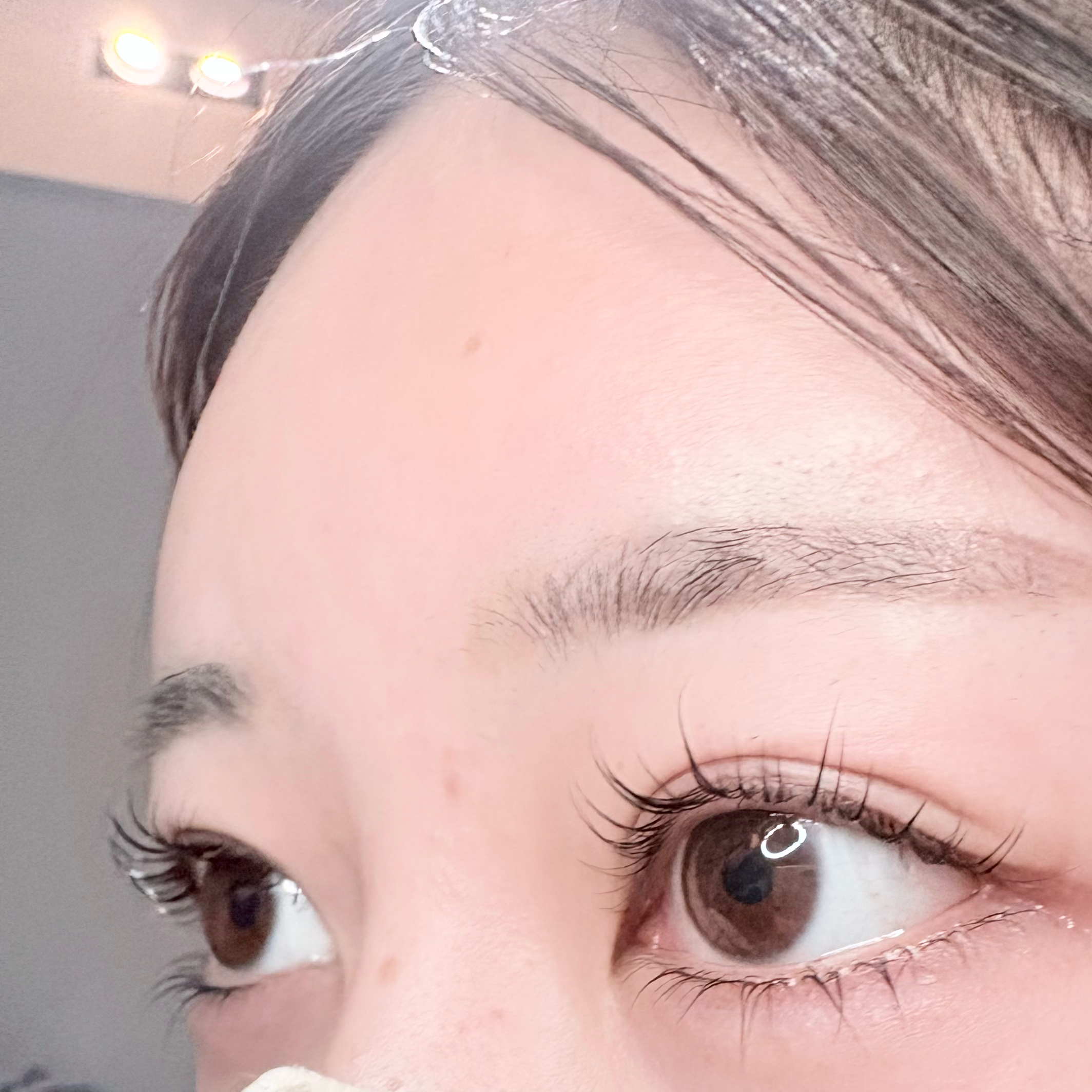 Flore_shinsaibashi