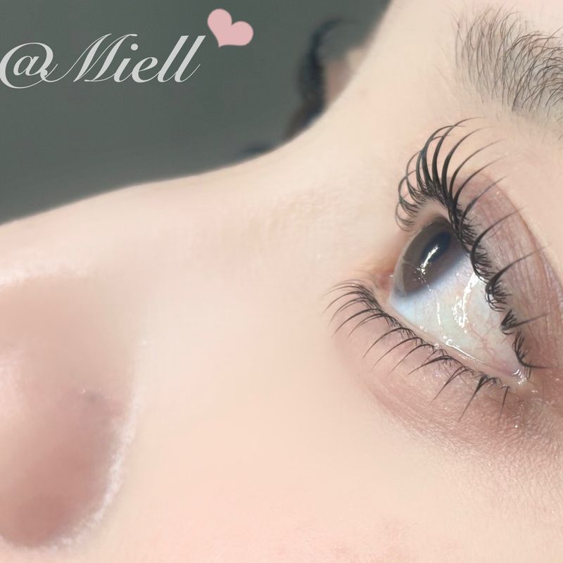 Eyelash Salon Miell