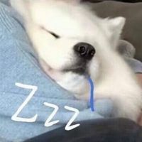 ragisota_o8l8.