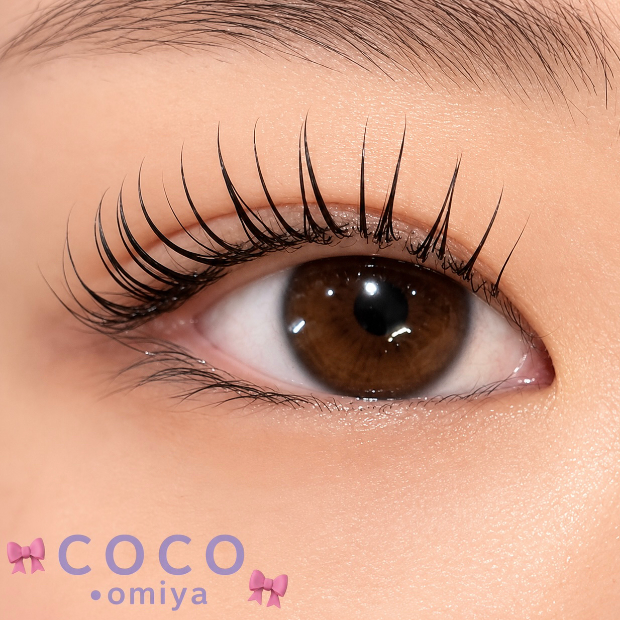 coco_shizuku