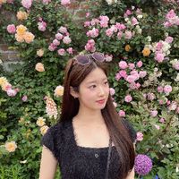 Lino_takami