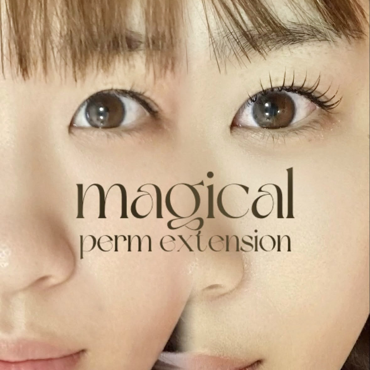 tomomi.fudo