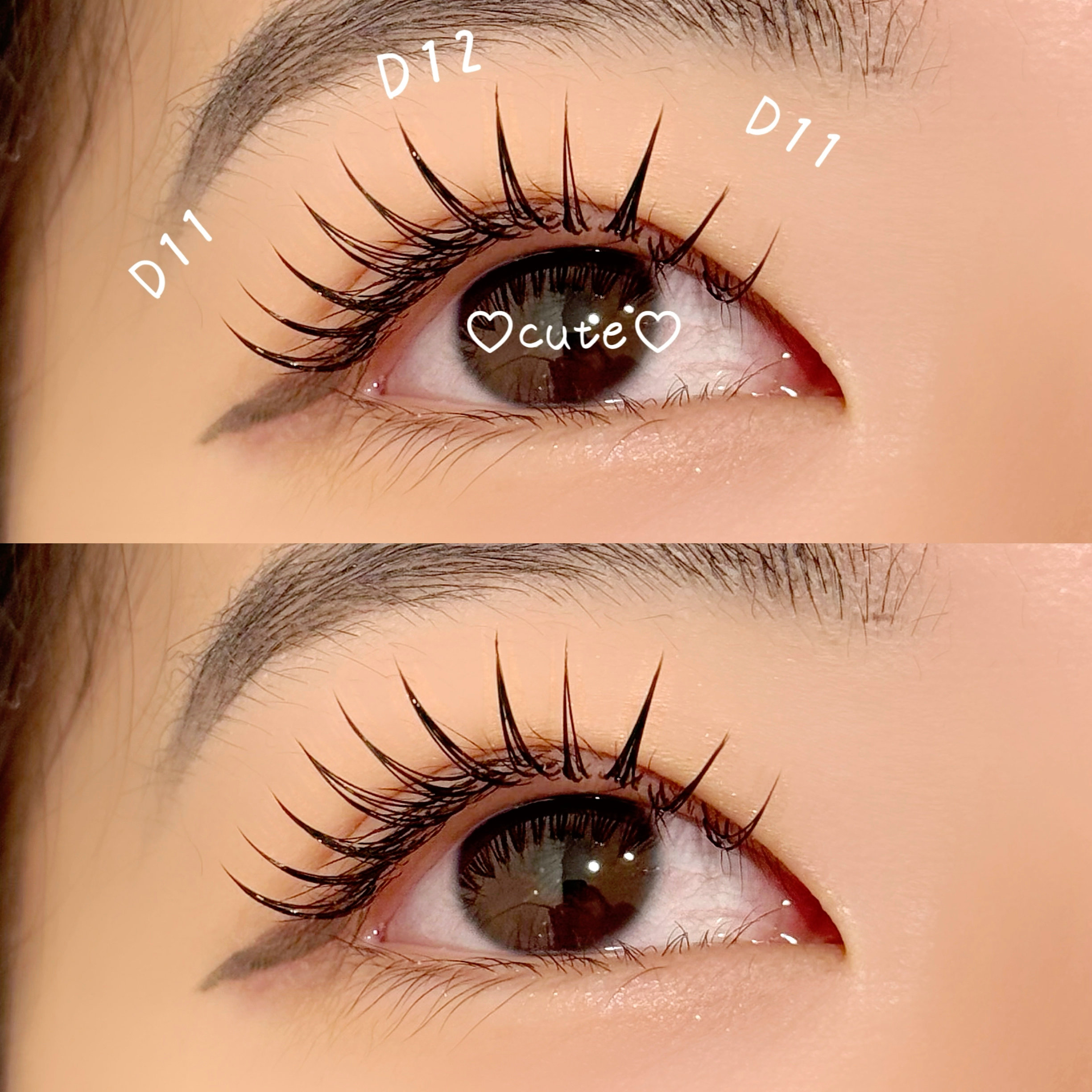 aoi_trueye