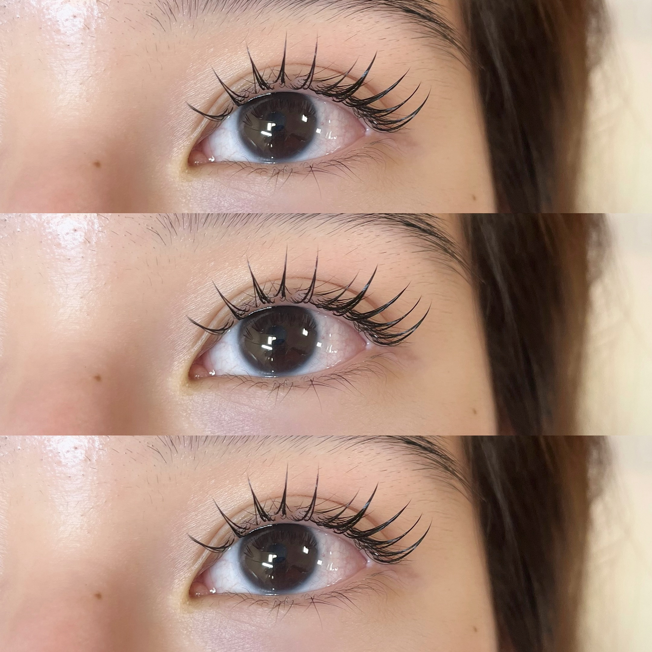 himawari_trueye