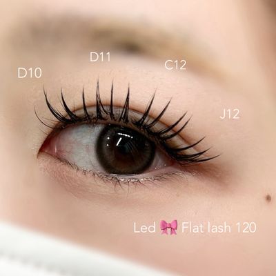 フラットラッシュ120本