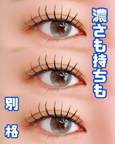 バインドロック100束