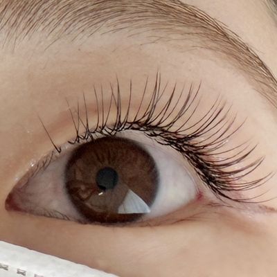 フラットラッシュ100本