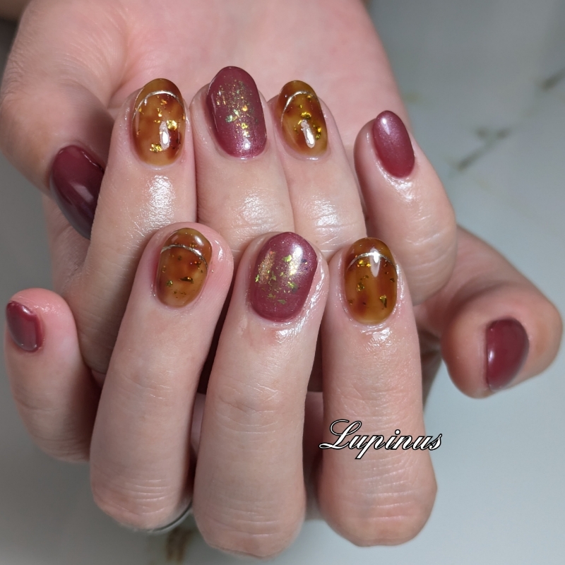 Lupinus