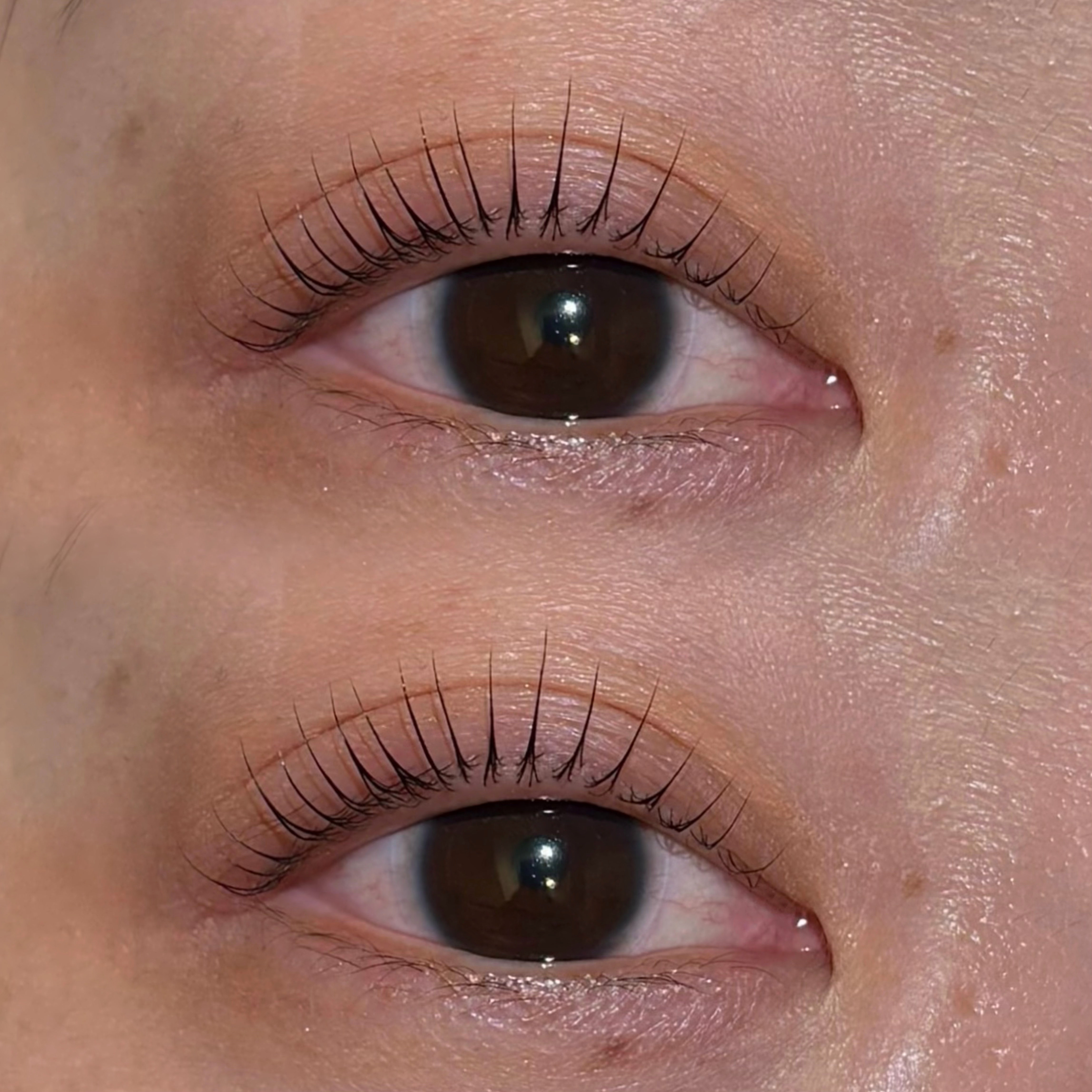 eyelash.suzuna
