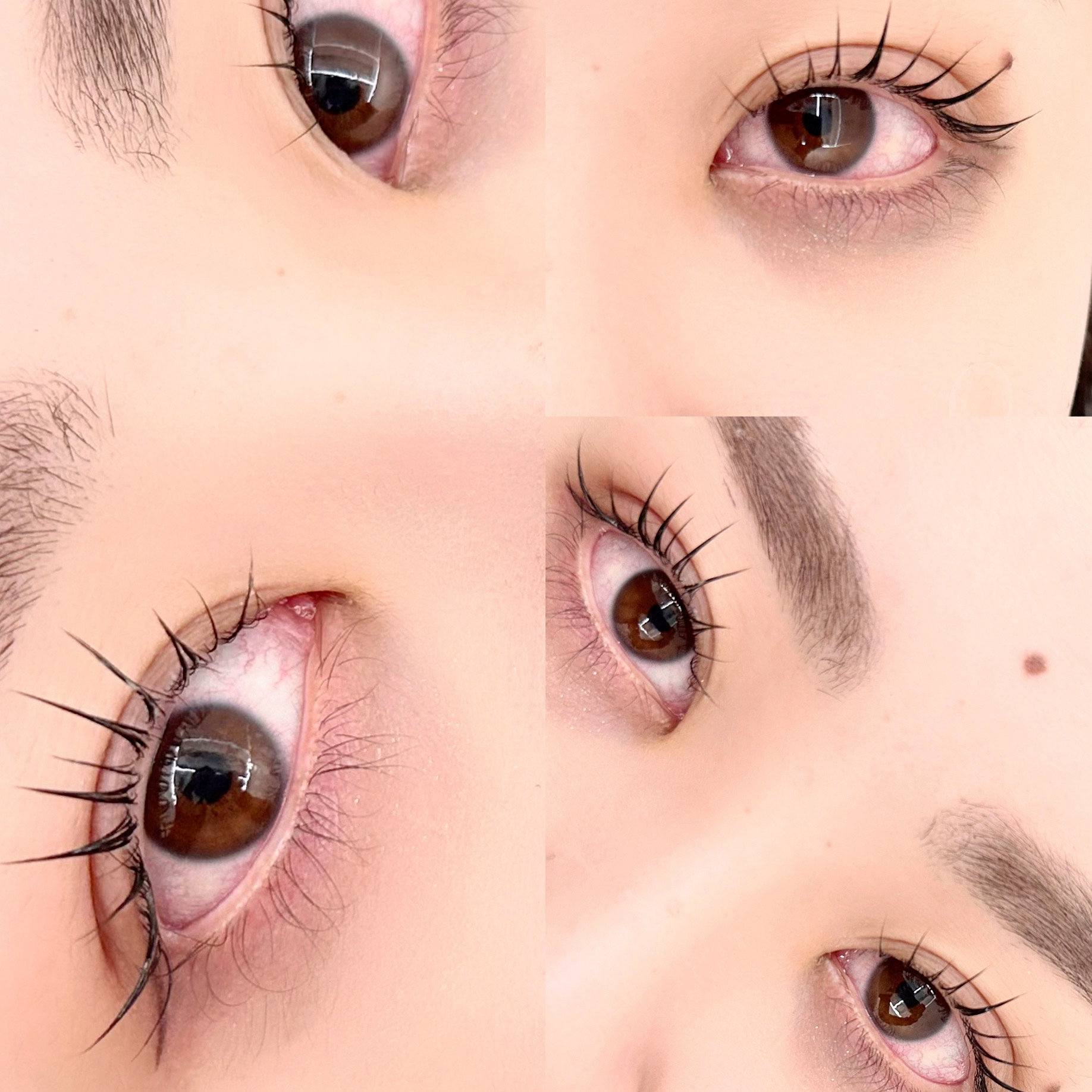 gemeye_tera
