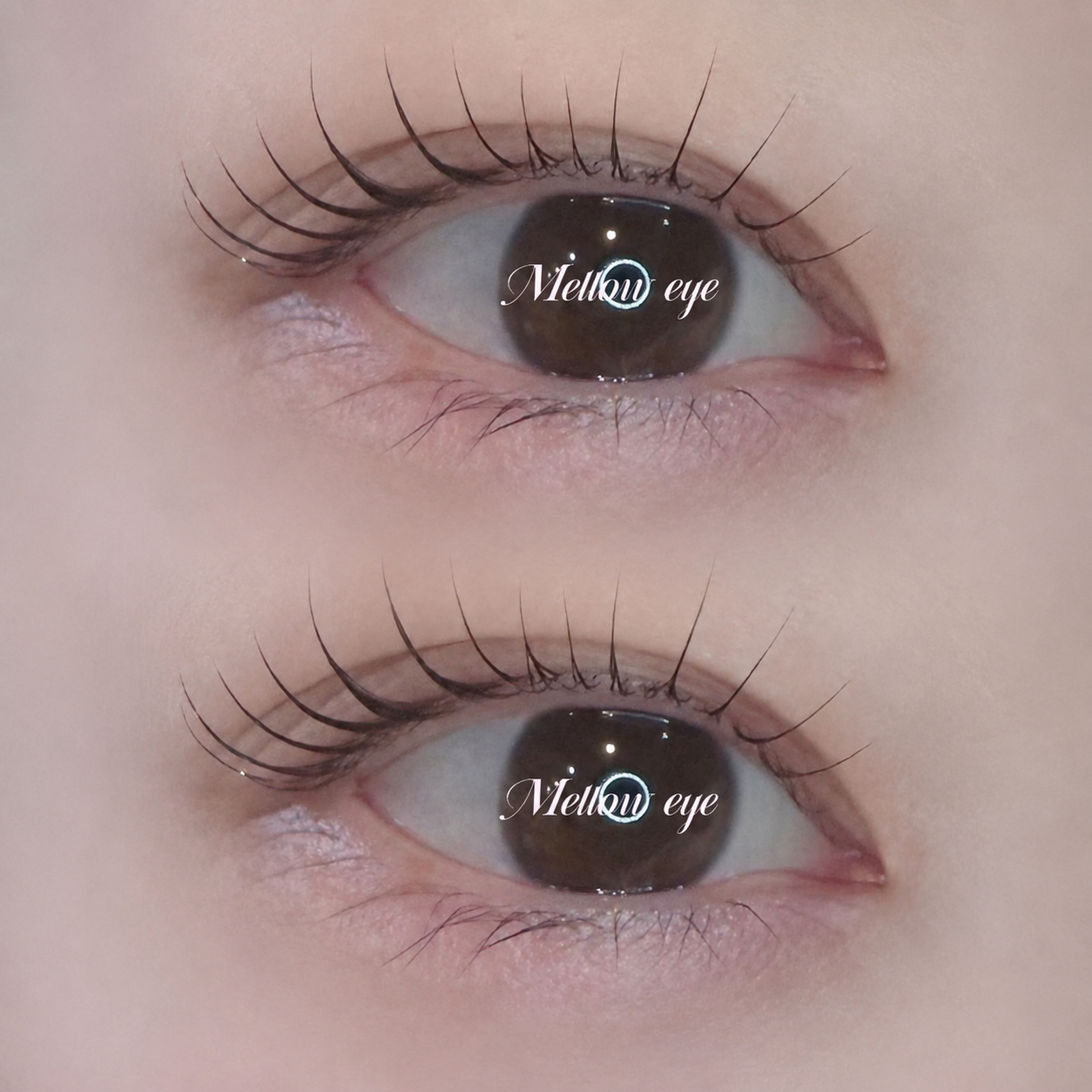 melloweye_chika