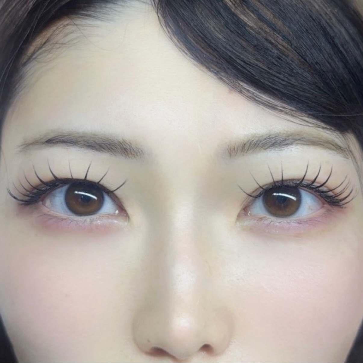 anne_haruka