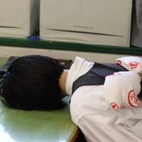 shibaken_shionchan
