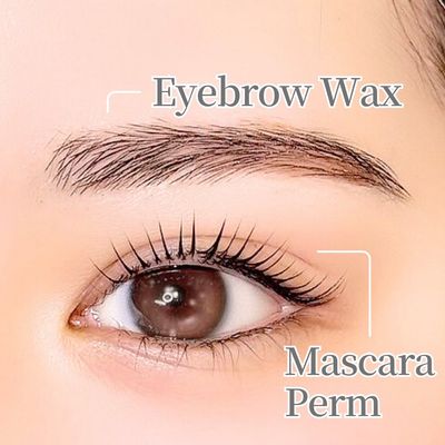 【40日以降】アイブロウWAX(間引き付)×韓国式マスカラパーマ(TR付)
