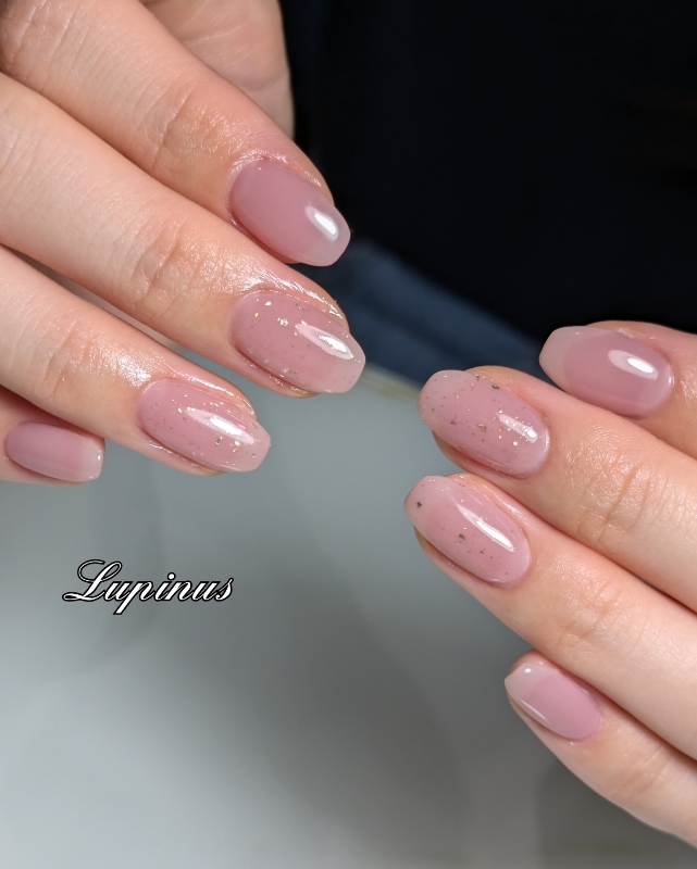 Lupinus