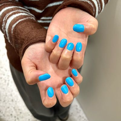 50色から選べるワンカラー🐩☘️