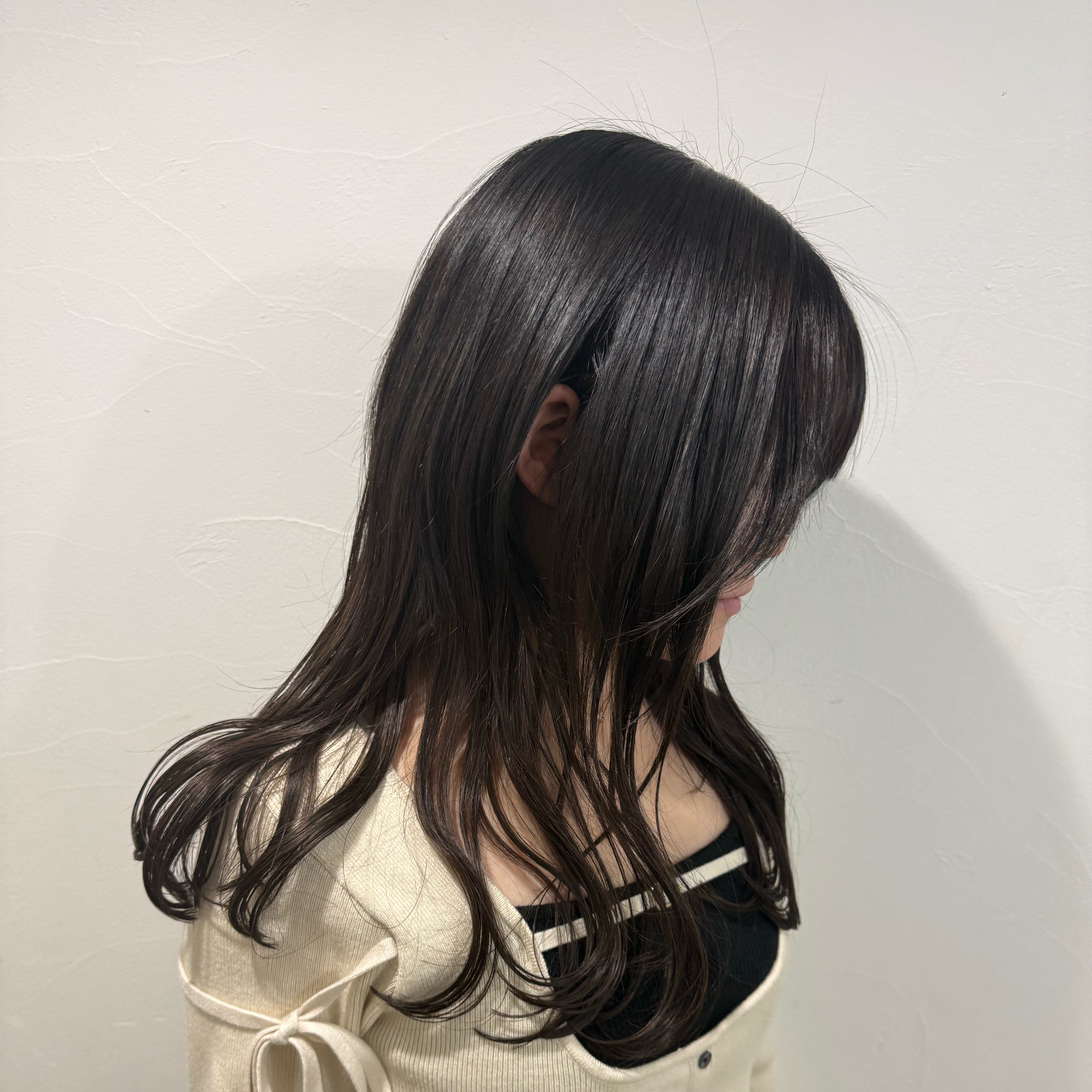 slh_rio