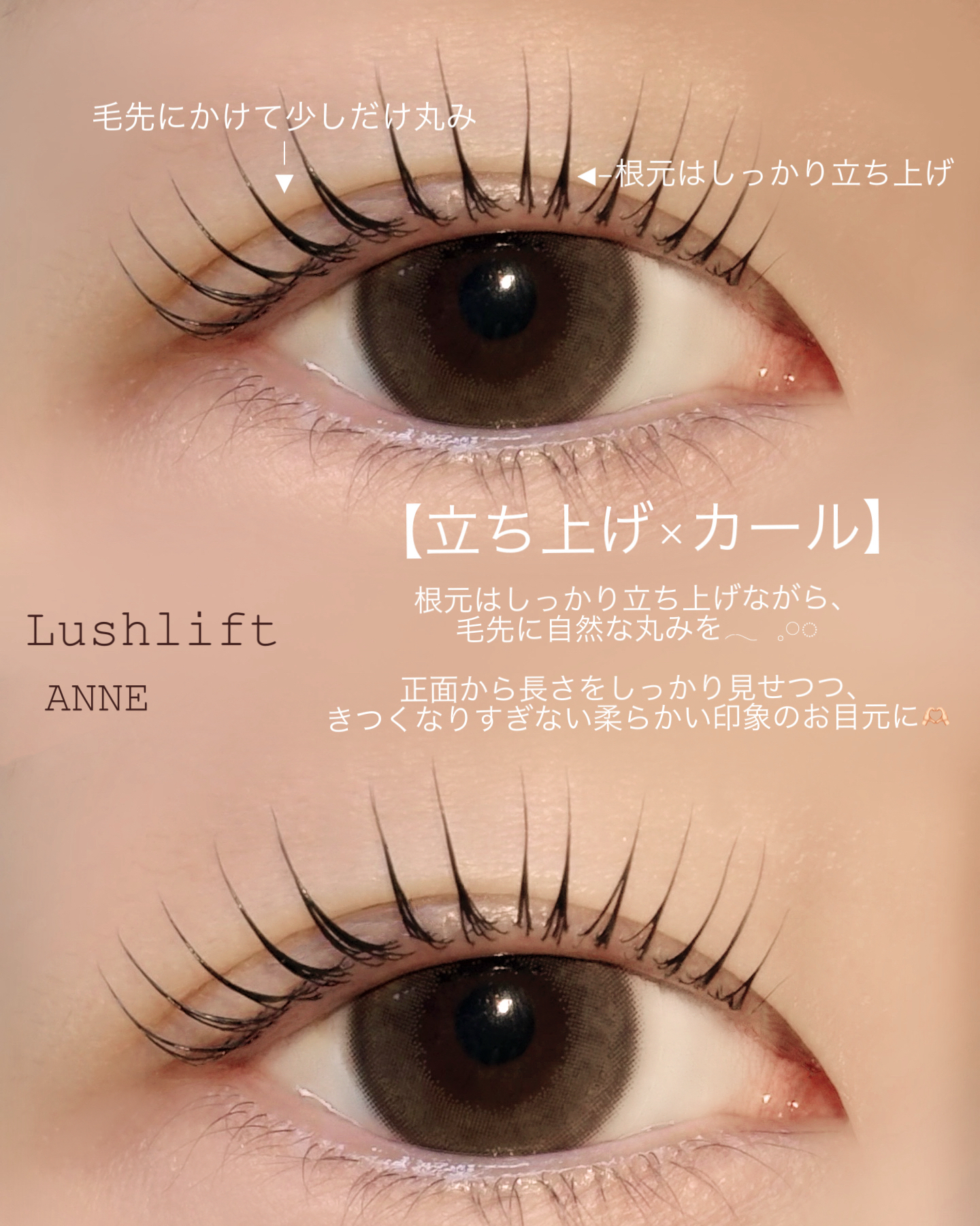 anne_chizu