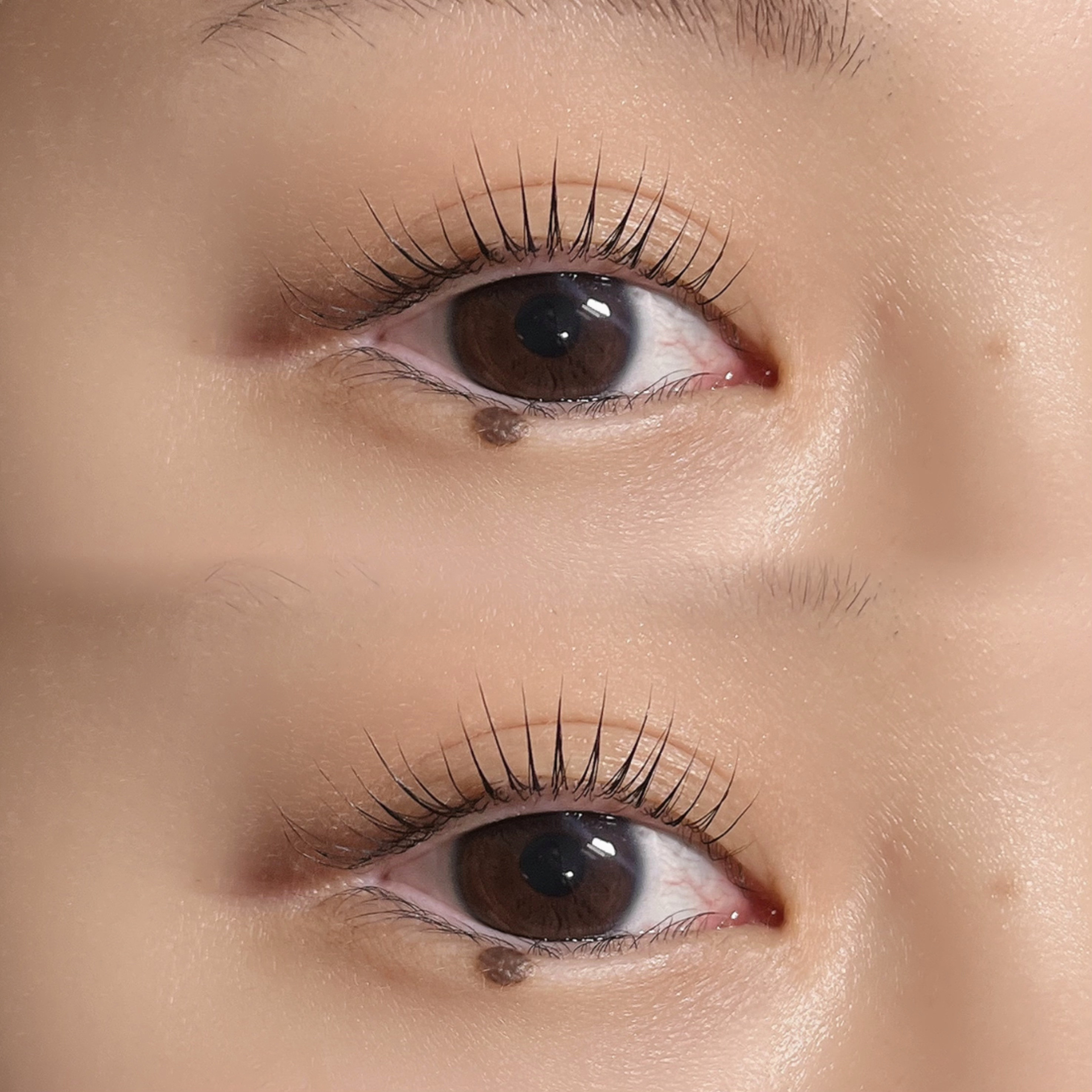 eye.brow.make_alos