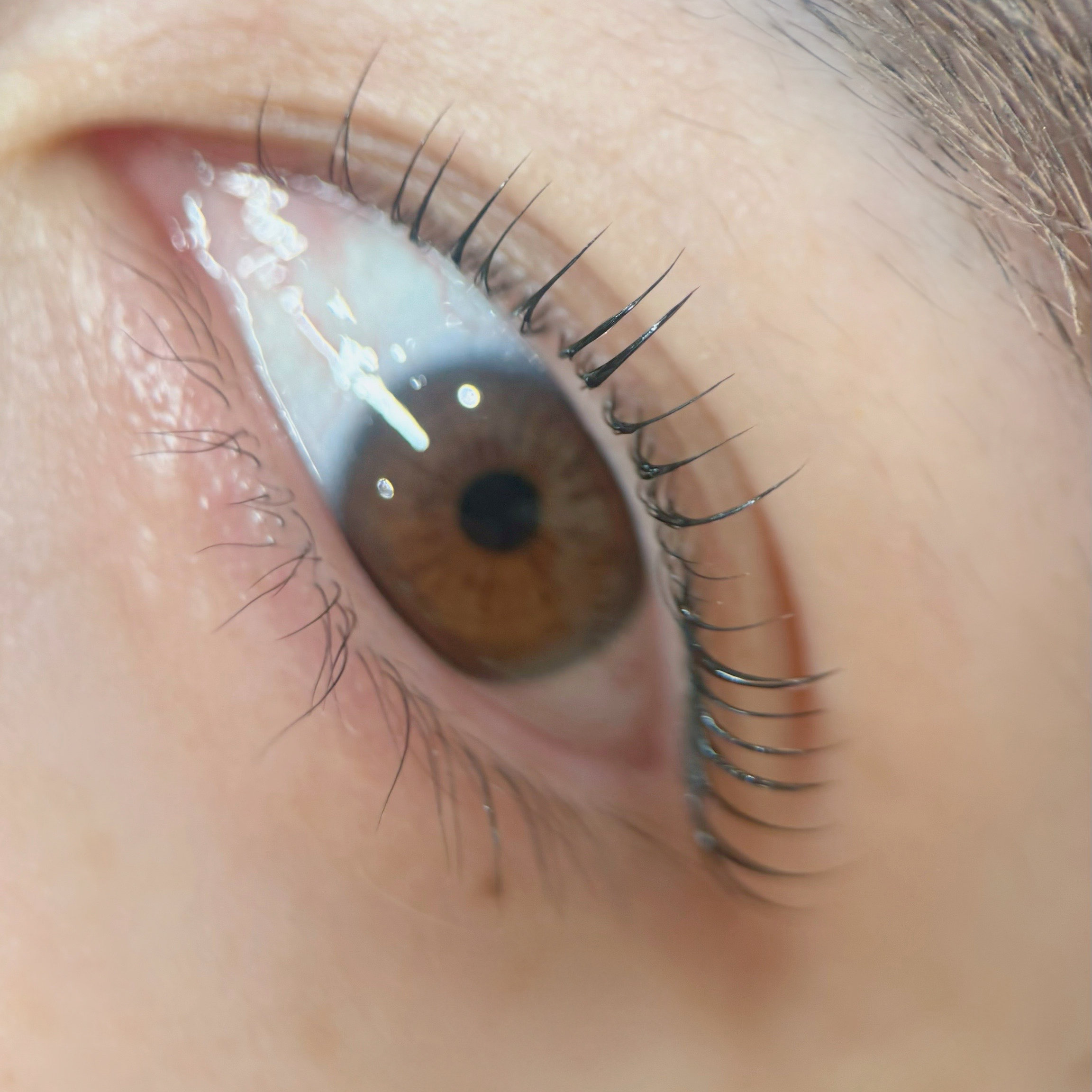 natari_.lash
