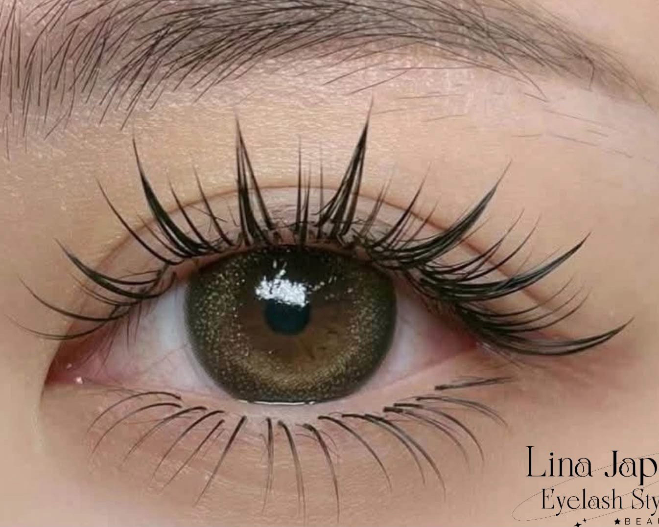 linaeyelash.namba