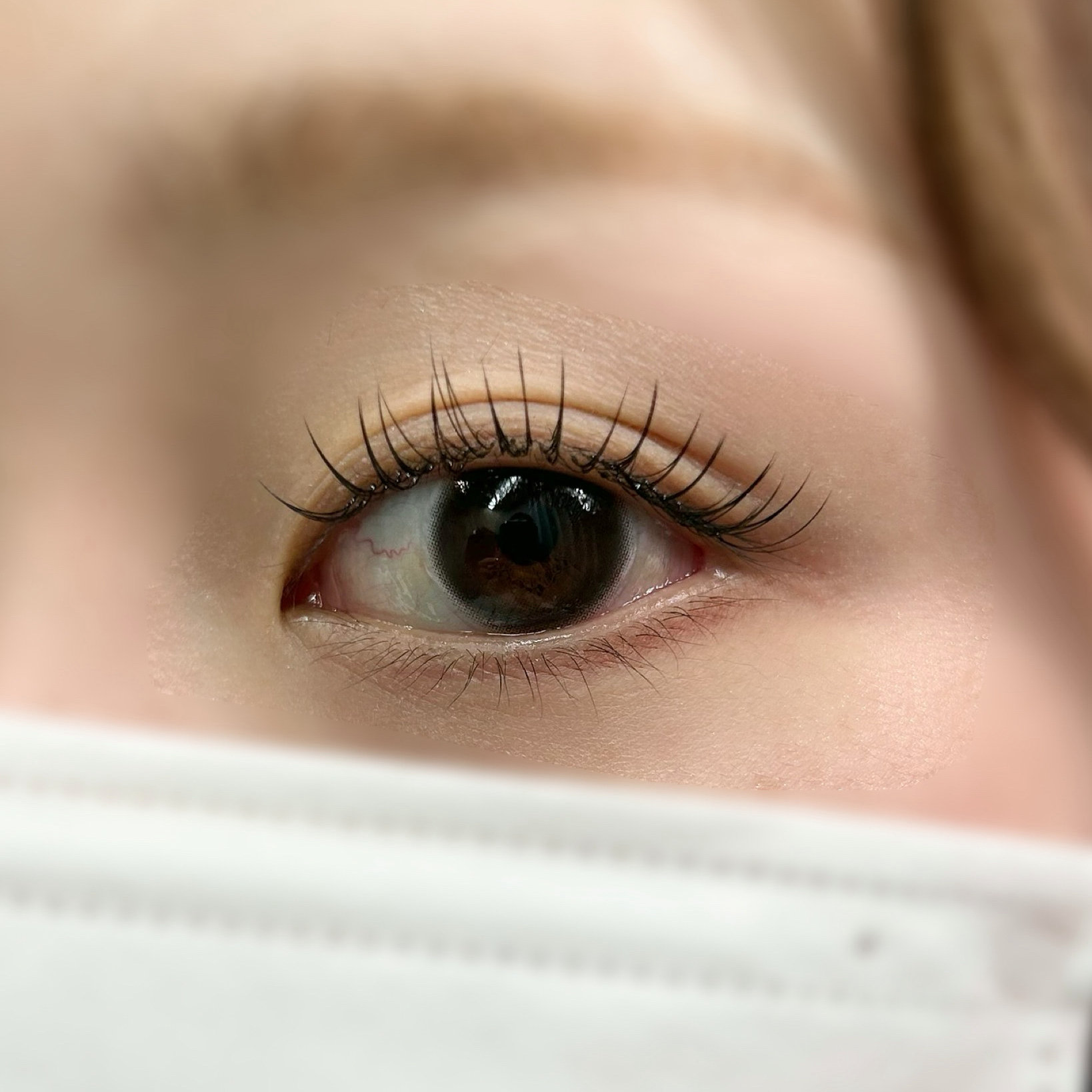 ciela_eyelash