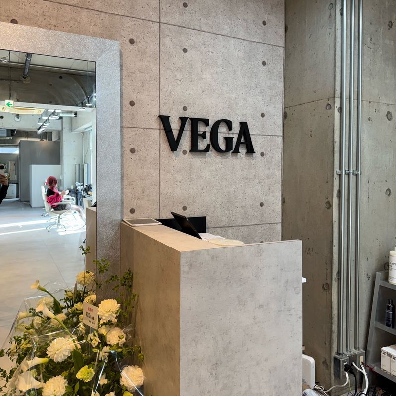 VEGA