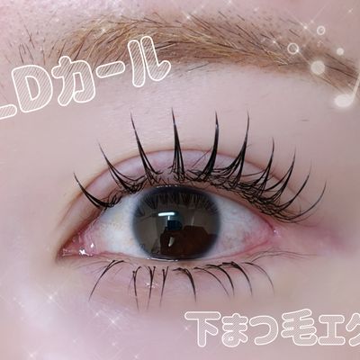圧倒的人気No.1💜パリエク風L/LDカール120本＋下まつ毛エクステ40本まで