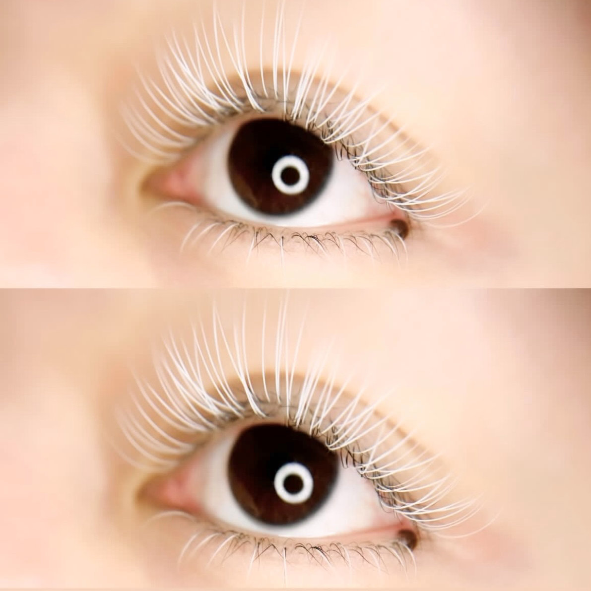 eyelashsalon_GENIC