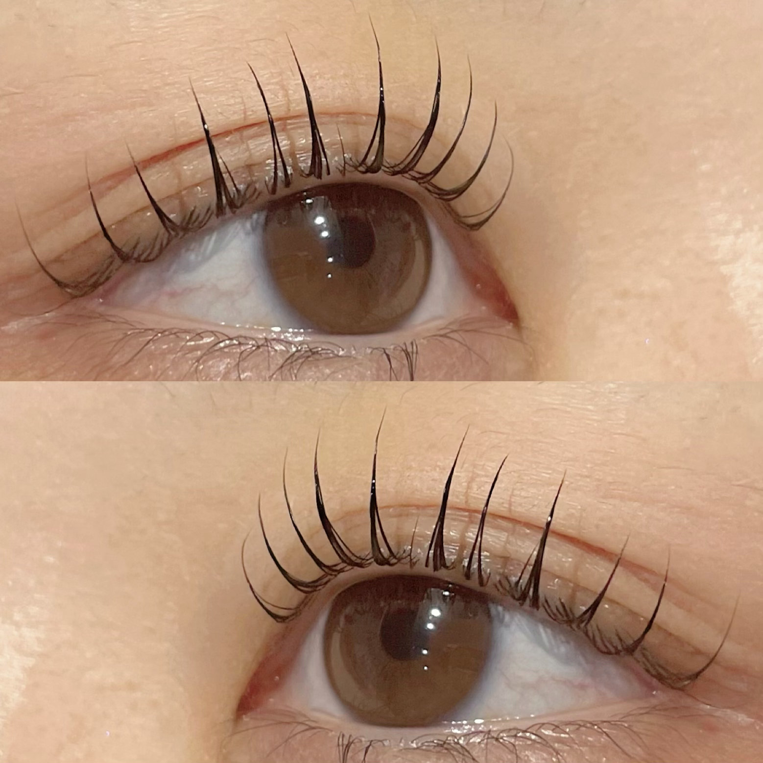 Ugi.eye_nakazakicho