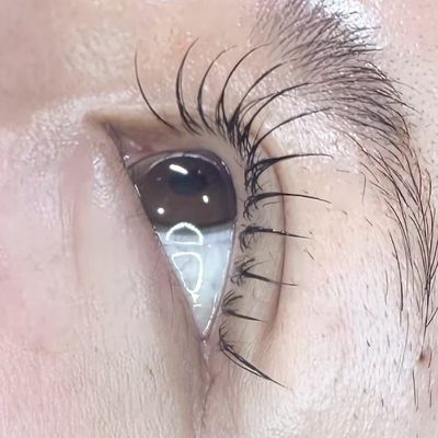 フラットラッシュ80本