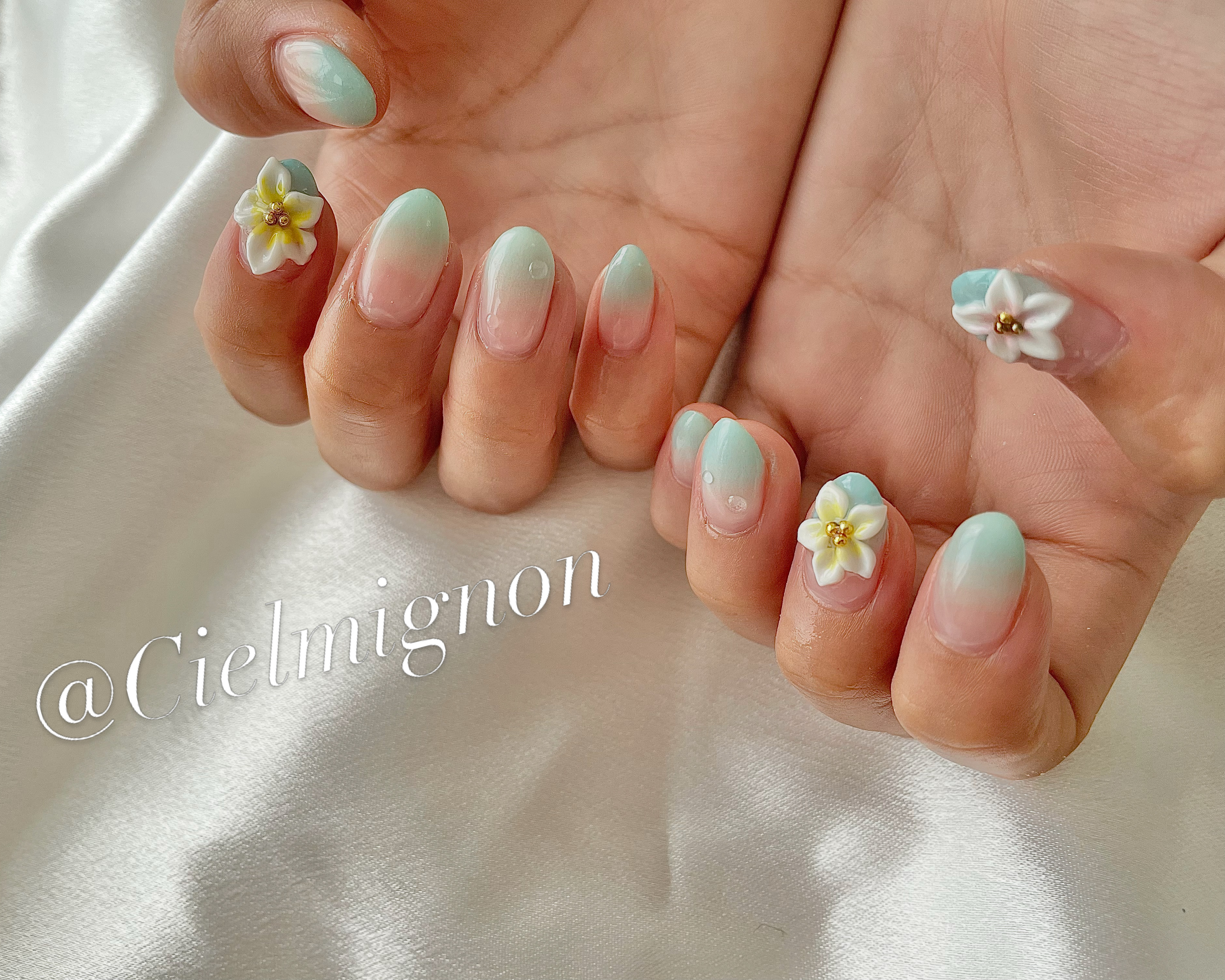 Cielmignon