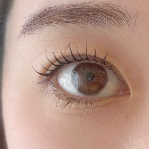 L'elie eye salon
