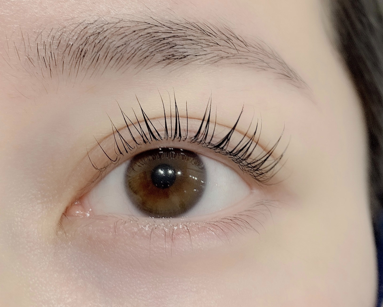Gunji_eyelash