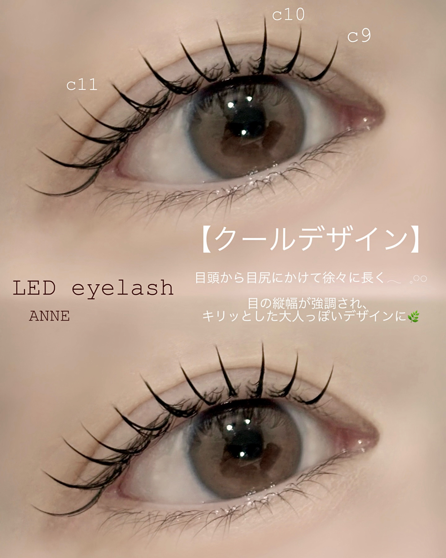 anne_chizu