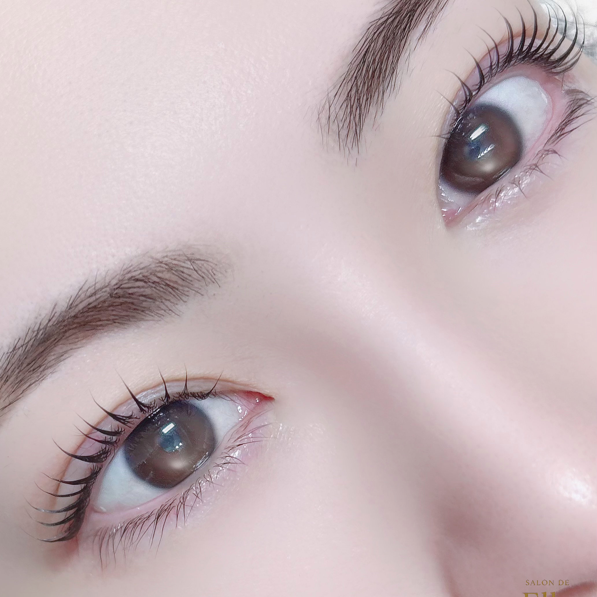 miho.eye