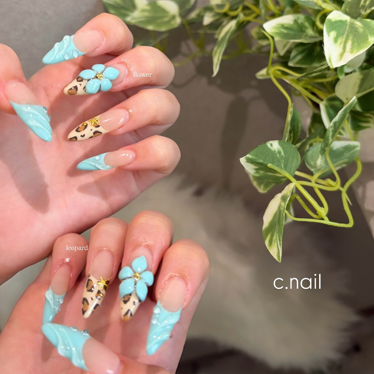 c.nail
