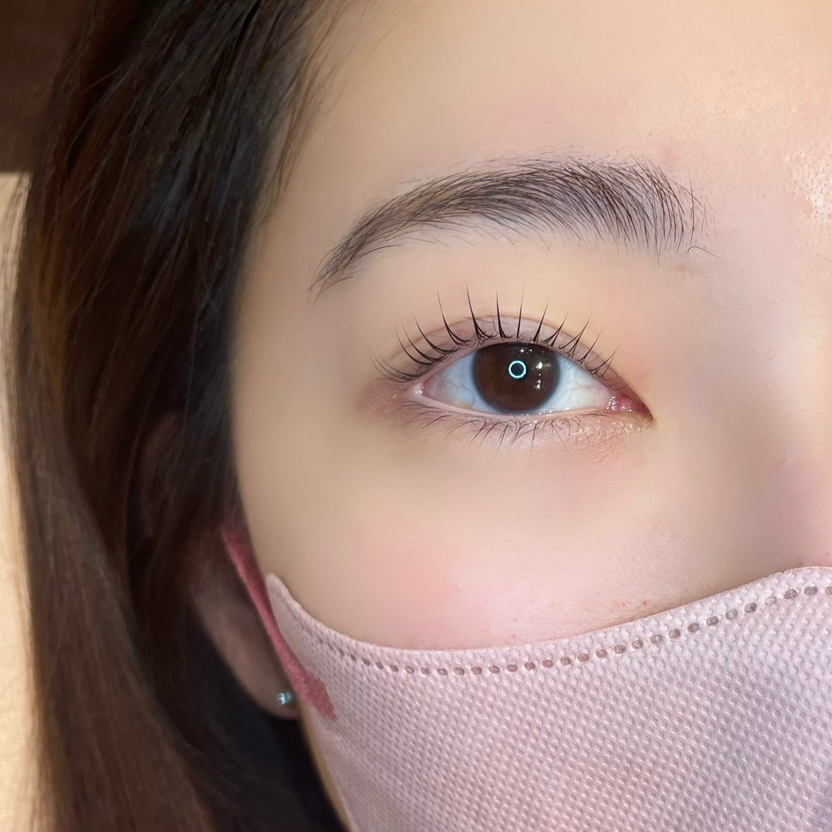 _seika