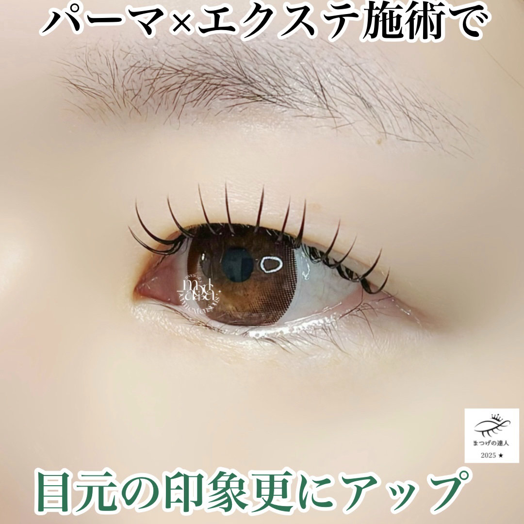 saki_matsuge