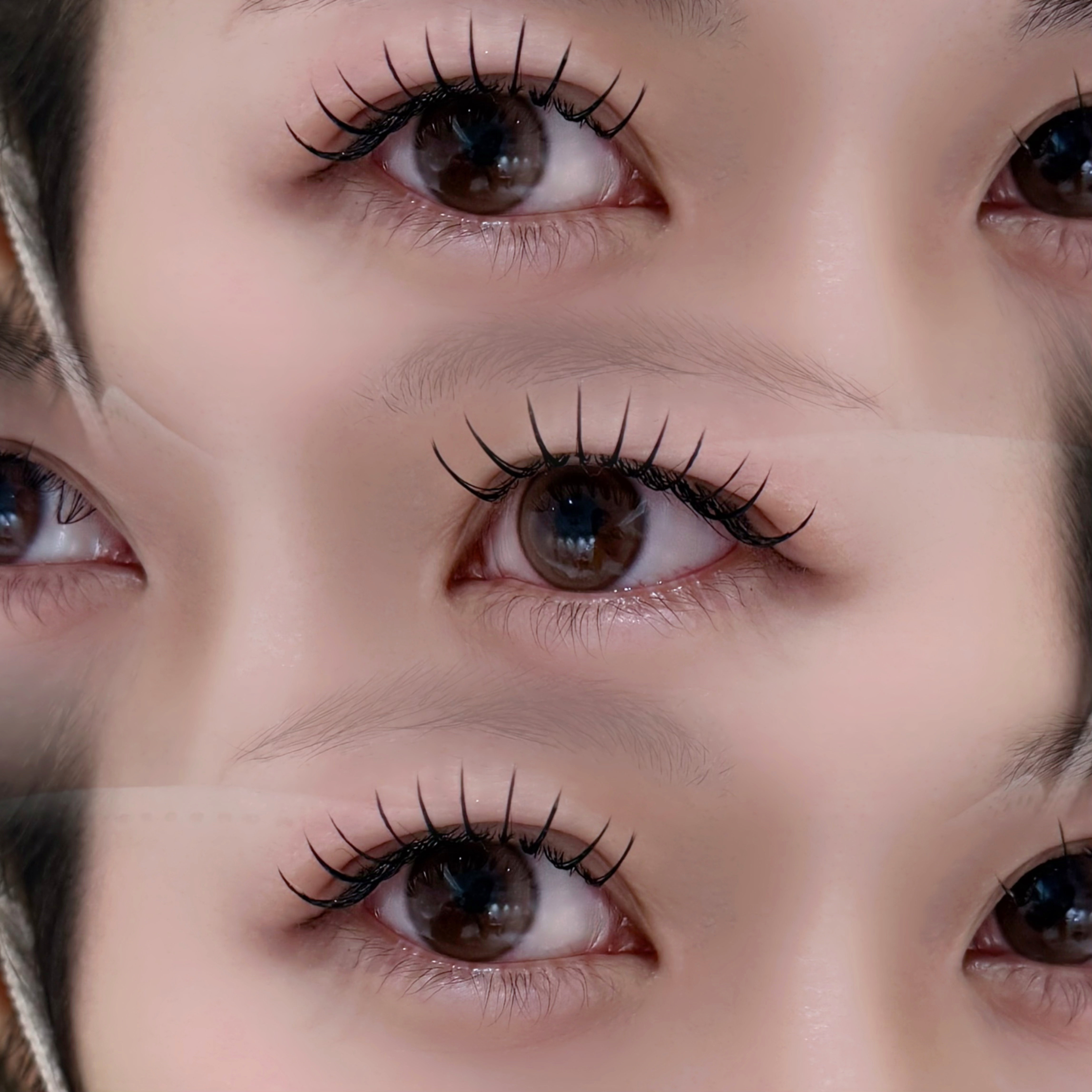 eyelash_moca