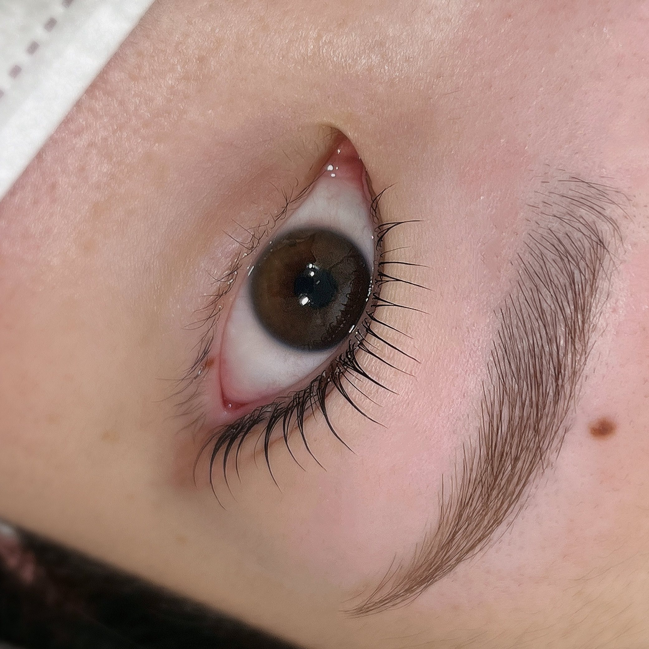 eye.brow.make_alos