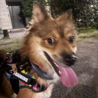 mar12choco658